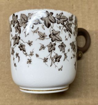 Dainty Vintage Royal Worcester Brown Ivy Transfer Porcelain Mini Tea Cup 2 - 1/4”