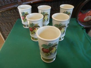 Great Poppy Trail By Metlox " Provincial Fruit ".  Set Of 6 Ice Tea Glasses 2