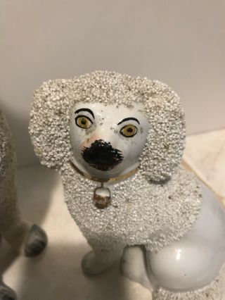 Antique Early Staffordshire Confetti Poodle Spaniel Pug Dog Statue Figurine 5