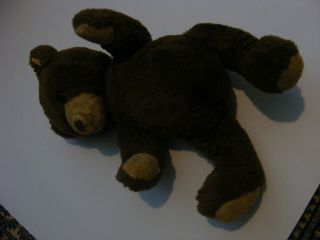 Vintage Steiff Teddy Bear With Rotating Head,  Has Button But No Tag 50 