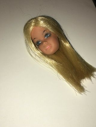 Malibu Barbie Doll Head