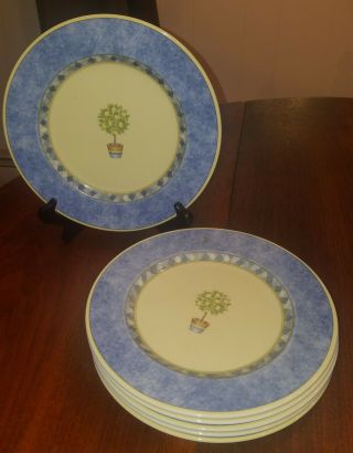 Royal Doulton " Carmina " Pattern Set Of 6 Salad Plates Lemon Tree Discontinued