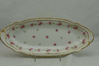 Limoges Coronet France Double Gold Pink Roses Asparagus Tray Platter