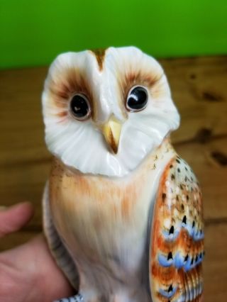 Vintage Mottahedeh Design Barn Owl Bird Animal Porcelain Figurine Italy 7.  5 