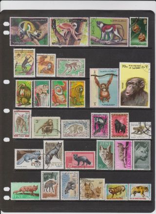 130,  Thematic Postage Stamps On Smaller Wild Animals Worldwide All Different.