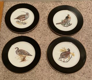 Woodmere Arthur Singer American Game Birds 10 3/4 " Assorted Dinner Plates 4