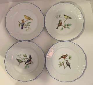 4 Vista Alegre Fine Porcelain Lunch Plates 8” Birds Scalloped Edge Blue Trim Euc