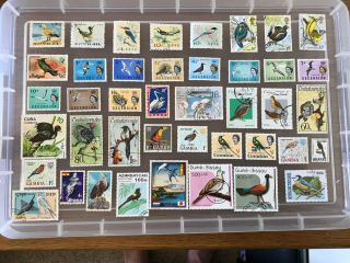 Thematic Stamps Birds
