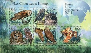Owl Bird Tyto Alba Bubo Bubo Souvenir Sheet Of 5 Stamps Nh