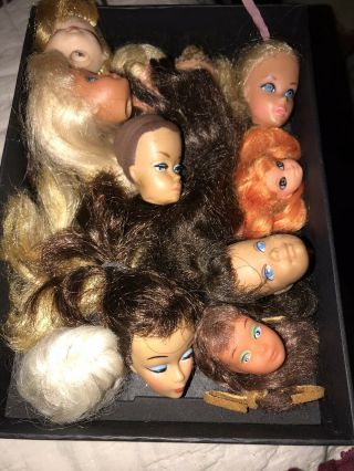 Barbie And Barbie Family Size Heads