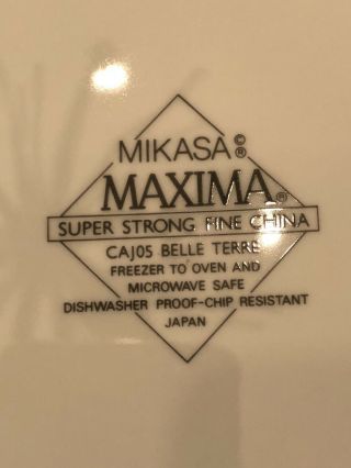 CAJOS BELLE TERRE by Mikasa Maxima Salad Dessert Plates 8.  25”,  Set of 8 3