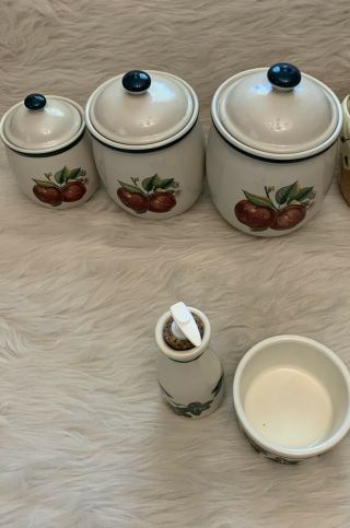 Apple Casuals by China Pearl Set of 3 Canisters With Detergent Pump and Dish 2