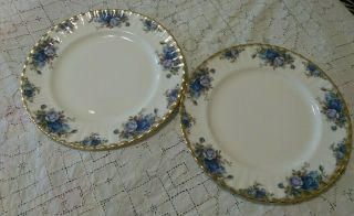 Two Vintage Royal Albert Moonlight Rose Dinner Plates 10 1/4 " Blue Floral Trim