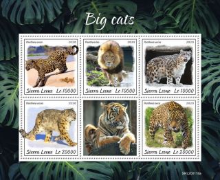 Sierra Leone Wild Animals Stamps 2020 Mnh Big Cats Lions Jaguars Leopards 5v M/s
