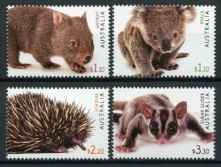 Australia Wild Animals Stamps 2019 Mnh Fauna Pt Ii Wombat Koalas Echidna 4v Set