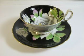 Vintage Occupied Japan White Rose Cabbage Black Tea Cup & Saucer Paragon Style