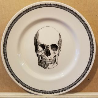 Set Of 4 Royal Stafford Skull 11 " Dinner Plate Halloween Black Skeleton