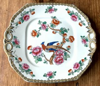 Whieldon Ware F Winkle Pheasant Bird Square Handled Cake Plate Semi - Porcelain