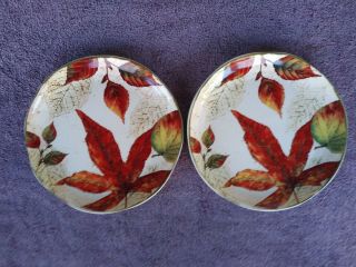 Pier 1 Asheville Salad Plates Fall Leaves Thanksgiving 8.  75 " Set Of 2