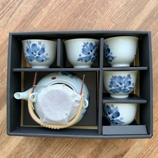 Fine Japanese 5 Cup Tea Set - Hand Painted Porcelain - Made In Japan