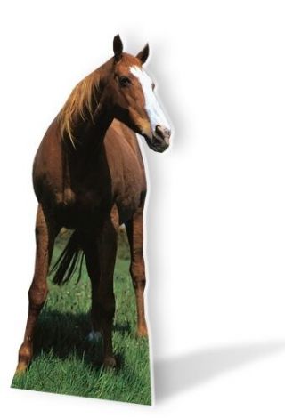 Mustang Horse Lifesize Cardboard Cutout Fun Figure 190cm Tall - For Your Party