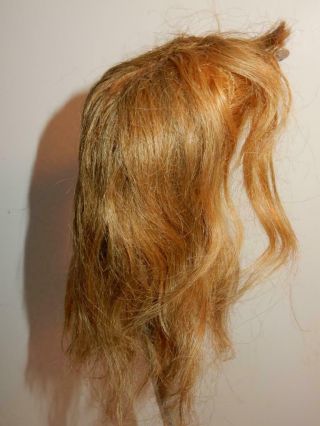 Antique Human Hair Wig For German Bisque / Compo Character Doll Sz 12 - 13