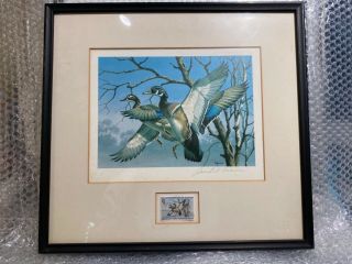 1989 David Maass Federal Duck Stamp Print Framed,  Matted & Signed On Print&stmp