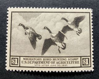 Wtdstamps - Rw3 1936 - Us Federal Duck Stamp - Og Nh Well Centered