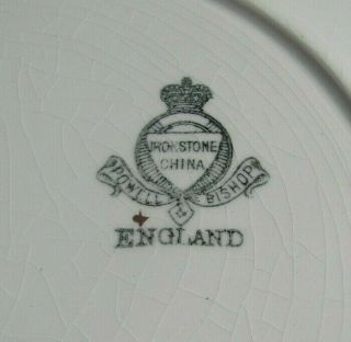 POWELL ANTIQUE IRONSTONE CHINA TEA LEAF CAKE PLATE CHELSEA COPPER LUSTER 2