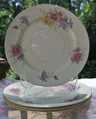 Set Of 4 Homer Laughlin 9 " Dinner Plates H 44 N 5,  Simple White,  Pink Flowers
