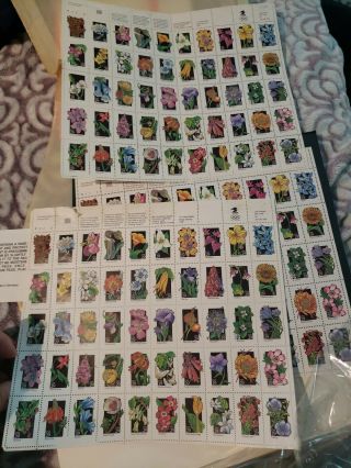 Lot Us Postage Stamps 1991 Wildflowers 6 Sheets 300 Stamps 29cent Mnh Og Scott