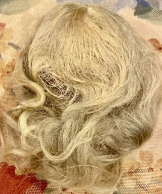 Antique 8 " Blond Mohair Wig W/original Silk Ribbon For Antique Bisque Doll