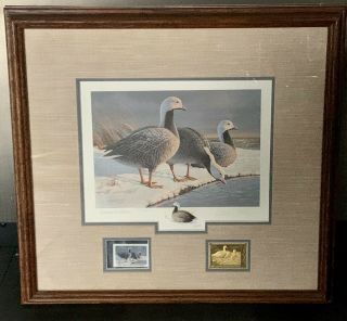 Alaska 1 1985 State Duck Stamp Print Executive Ed Emperor Geese - Smith