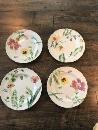 Set Of 4 English Floral Spode For Williams - Sonoma Salad/dessert Plates 9 1/8 " B