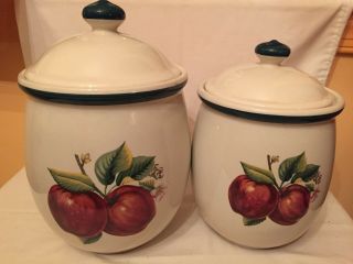 Casuals By China Pearl Apple Blossom 2pc Canister Set