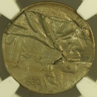 1930 Clamshell Obverse Lamination Buffalo Nickel 5c Error Ngc Ms - 63 Unc