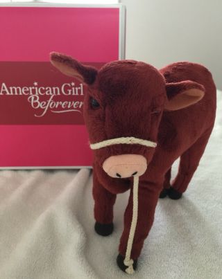 American Girl Doll Pre - Owned Caroline’s Plush Pet Calf Cow Garnet F2722 W/box