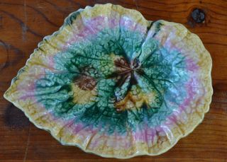 Antique Etruscan Majolica 9 " Begonia Leaf Plate Dish By Griffen Smith & Hill
