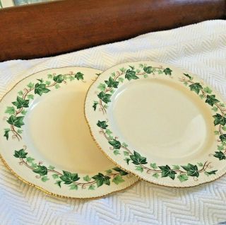 Vtg Homer Laughlin Liberty Green Ivy Gold Scallop 10 " In Dinner Plates Set Of 2