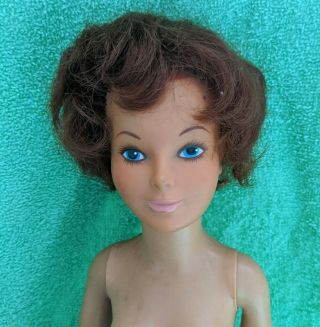 18 " Tall 1977 Ideal Magic Hair Crissy Doll