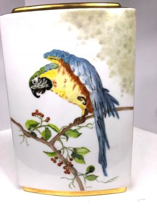 Bavaria Hand Painted Signed Tall Porcelain Vase Made W.  Germany Macaw Bird