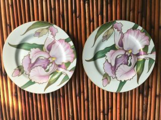 Set Of 2 Fitz And Floyd Iris Salad Plates Discontinued Pink Gold Trim