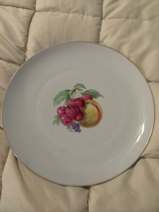 Vintage Bavaria Germany Hutschenreuther Selb Large Fruit Round Platter Plate