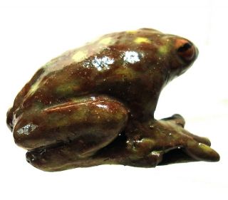 2 " Length Realistic Hand - Crafted Clay Wet Frog Art Pottery Figurine Studio Art