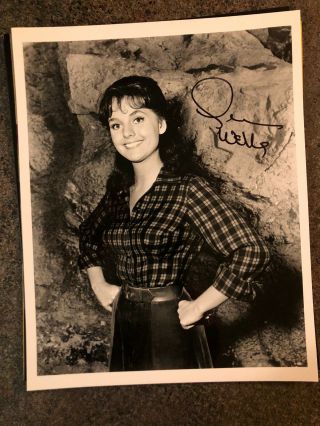Dawn Wells Gilligans Island Signed Autographed Photo