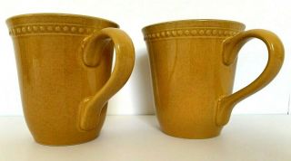 Pier 1 Imports Spice Route Ginger By Pier 1 Coffee Mugs Set Of 2