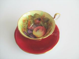 Aynsley D.  Jones Cup & Saucer Orchard Fruits On Red