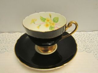 Shelley Vintage Black Satin Primrose English Bone China Tea Cup/saucer Rippon