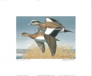 Washington 4 1989 State Duck Stamp Print American Widgeon By Maynard Reece