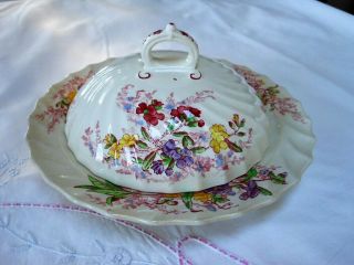 Vintage Spode Copeland Fairy Dell Covered Butter Dish Bowl With Lid
